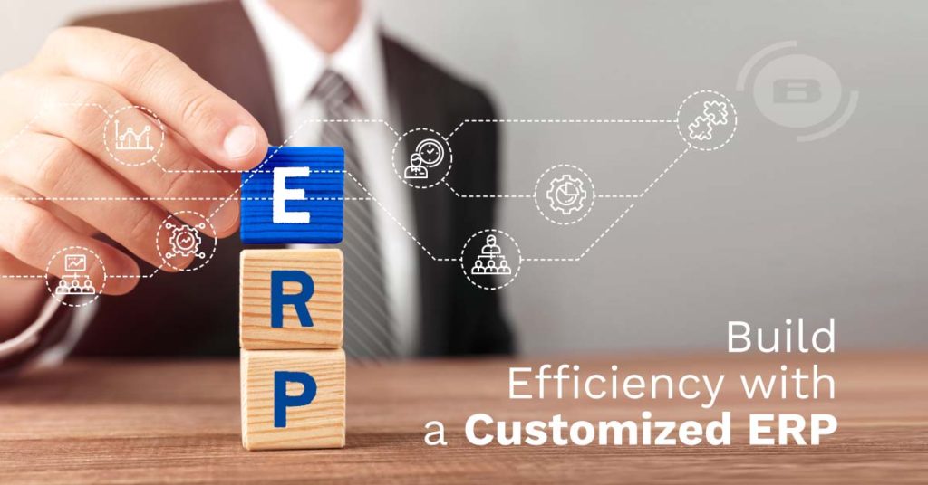 Customized ERP | Blue Screen IT Solutions