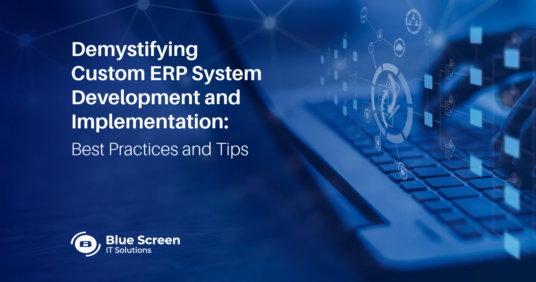 Demystifying Custom ERP System Development and Implementation: Best Practices and Tips